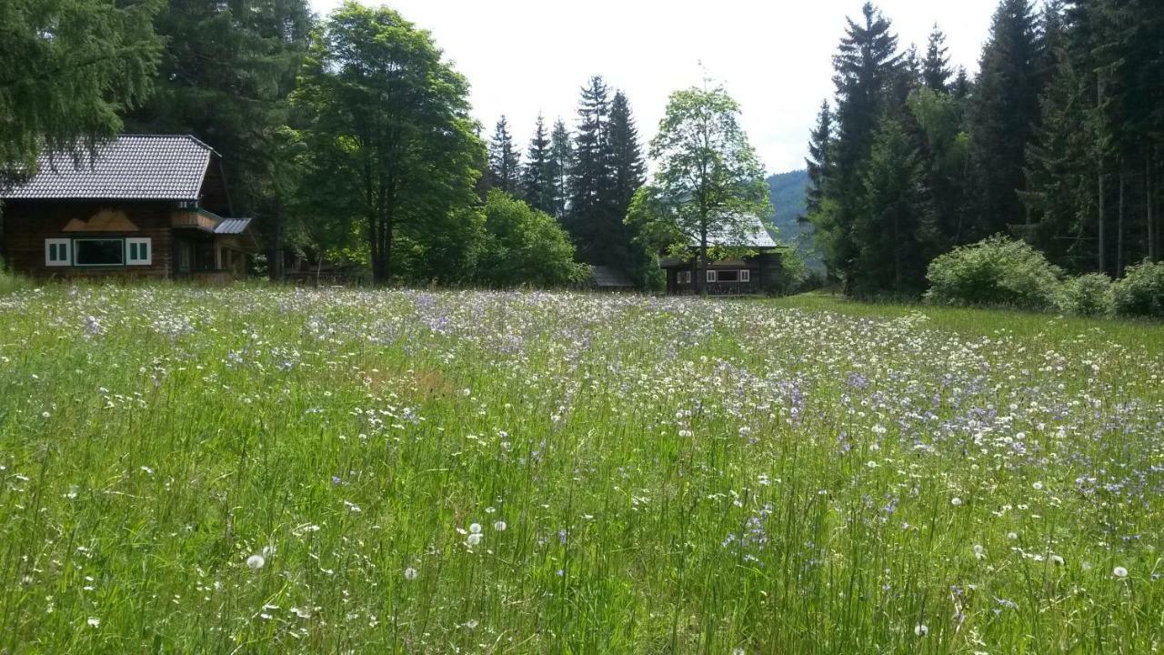 Ferienhaeuser Stohl Mariapfarr Eksteriør billede